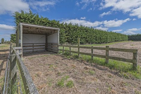 Photo of property in 2924 North Rakaia Road, Bankside, 7783