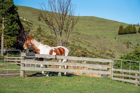 Photo of property in 50 Walden Lane, Minden, Tauranga, 3171