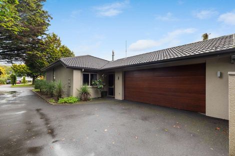 Photo of property in 117a Kawaha Point Road, Kawaha Point, Rotorua, 3010