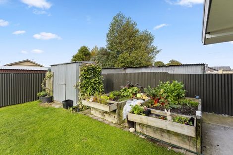 Photo of property in 81a Sedcole Street, Pahiatua, 4910