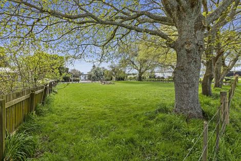 Photo of property in 33 Platt Road, Newstead, Hamilton, 3287