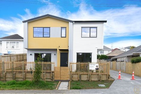 Photo of property in 38a Rogan Street, Mount Roskill, Auckland, 1041