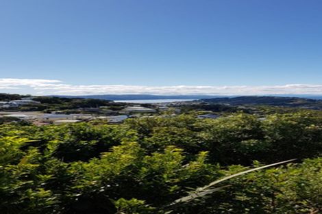 Photo of property in 153 The Ridgeway, Mornington, Wellington, 6021