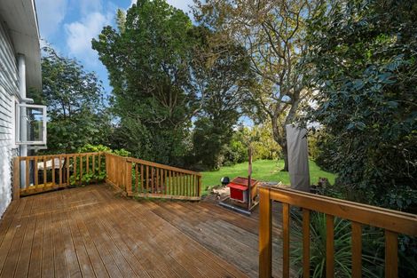 Photo of property in 117 Hutchinson Avenue, New Lynn, Auckland, 0600