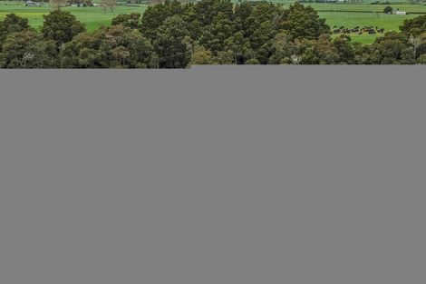 Photo of property in 34 Stockmans Road, Morrinsville, 3371