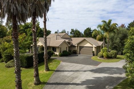 Photo of property in 80 Tuapiro Road, Tahawai, Katikati, 3170