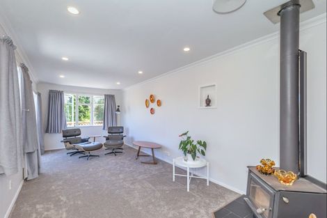 Photo of property in 38 Mabel Street, Levin, 5510