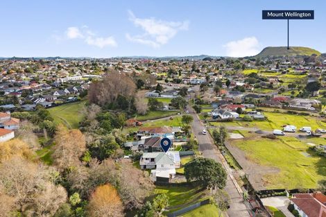 Photo of property in 22 Larsen Road, Panmure, Auckland, 1072
