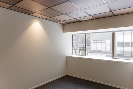 Photo of property in Te Kainga Te Aka, 203 Willis Street, Te Aro, Wellington, 6011
