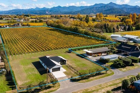 Photo of property in 5 Brook Street, Renwick, 7204