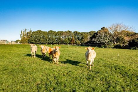 Photo of property in 6835 State Highway 12, Turiwiri, Dargaville, 0374