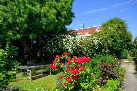 Photo of property in 48 Melville Street, Dunedin Central, Dunedin, 9016