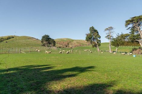 Photo of property in 96 Alfredton Road, Eketahuna, 4900