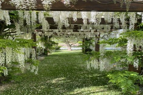 Photo of property in 528 Orari Station Road, Geraldine, 7992