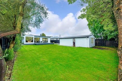 Photo of property in 21 Whitehall Street, Mairehau, Christchurch, 8013