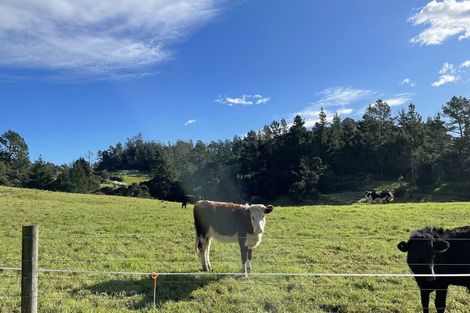 Photo of property in 158 Wainui Road, Kaeo, 0478