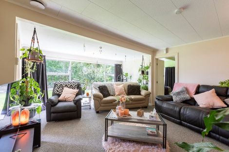 Photo of property in 148 Adelaide Road, Dannevirke, 4930