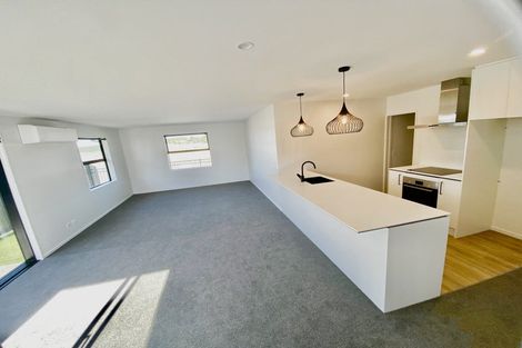 Photo of property in 33 Waiotahi Road, Kaiapoi, 7630