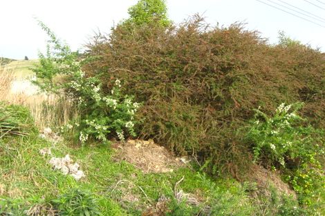 Photo of property in 11 Conway Street, Macandrew Bay, Dunedin, 9014