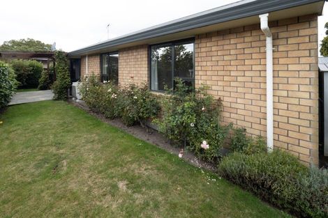 Photo of property in 83a Oxford Street, Hampstead, Ashburton, 7700