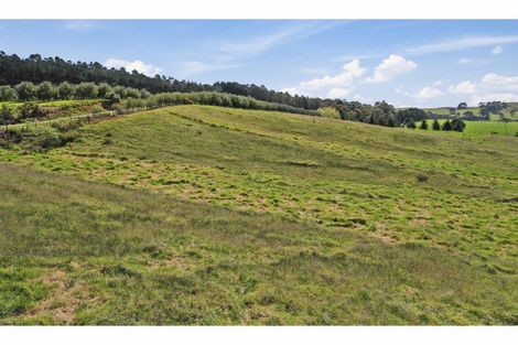 Photo of property in 90d Leccino Valley Road, Mangonui, 0494