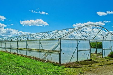 Photo of property in 134 Kaimoe Road, Patutahi, Gisborne, 4072