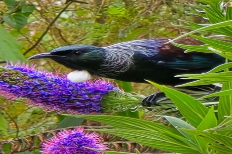 Photo of property in 43 Melville Drive, Whakatane, 3120