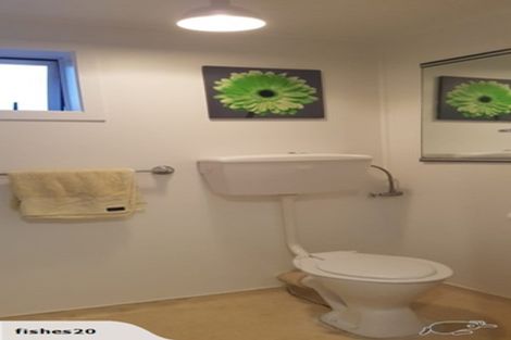 Photo of property in 7 Tutchen Street, Tauranga, 3110