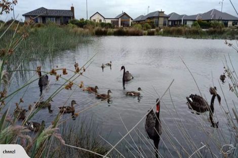 Photo of property in 154 Southfield Drive, Lincoln, 7608