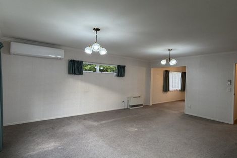 Photo of property in 127 Clarkin Road, Fairfield, Hamilton, 3214