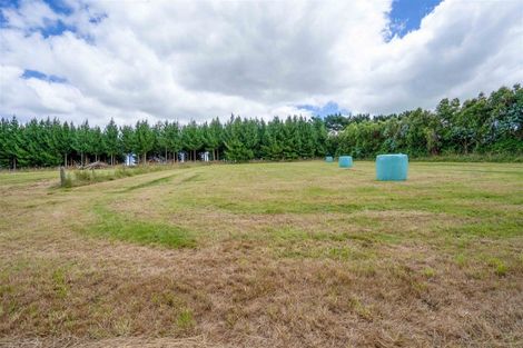 Photo of property in 461 Mill North, Roslyn Bush, Invercargill, 9876