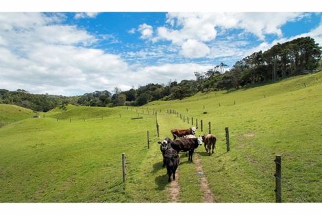 Photo of property in 34 Cemetery Road, Pollok, 2684
