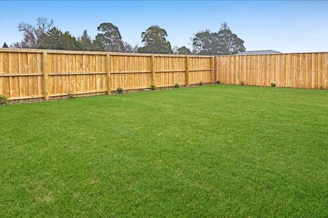 Photo of property in 24 Wilkin Street, Woodend, 7610