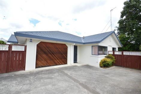 Photo of property in 75a Queen Street West, Levin, 5510