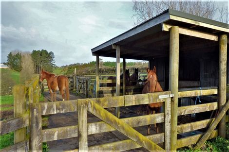 Photo of property in 110 Hall Road, Waiuku, 2681