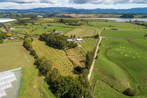 Photo of property in 196 Pahoia Road, Whakamarama, Tauranga, 3172