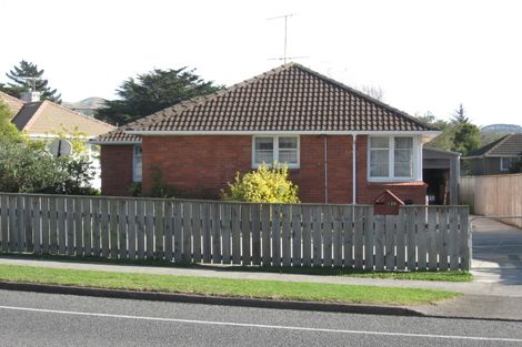 Photo of property in 113 Mungavin Avenue, Ranui, Porirua, 5024