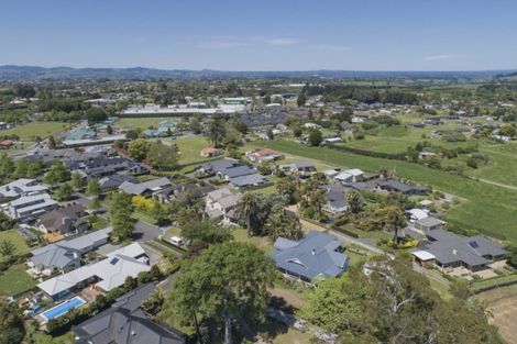 Photo of property in 41 Black Barn Lane, Bethlehem, Tauranga, 3110