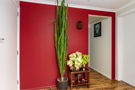 Photo of property in 238 Talbot Street, Geraldine, 7930