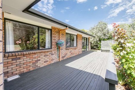 Photo of property in 16 Awaroa Stream Drive, Waiuku, 2123