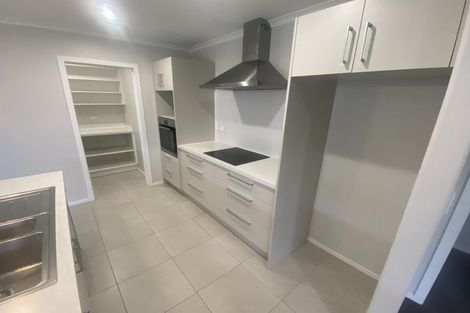 Photo of property in 250 Dixon Road, Fitzroy, Hamilton, 3206