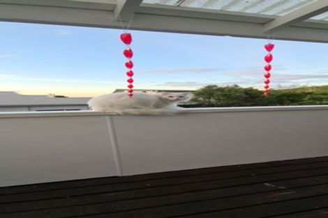 Photo of property in 14 Dodson Valley Road, Atawhai, Nelson, 7010