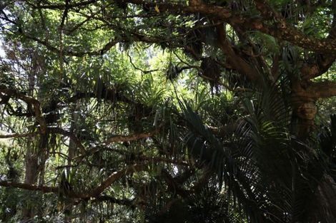 Photo of property in 16 Otaere Road, Okaihau, 0475