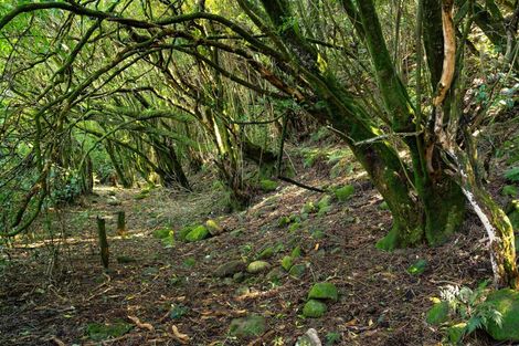 Photo of property in 349 Upper Waingawa Road, Kaituna, Masterton, 5888