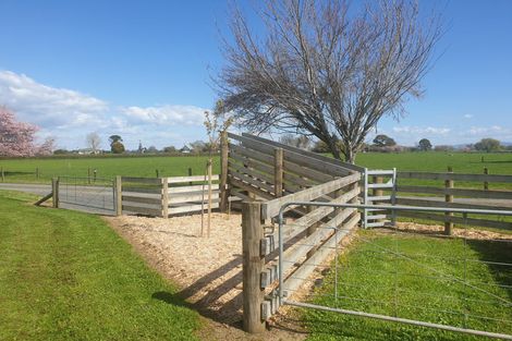 Photo of property in 547 Taihoa Road South, Matamata, 3473