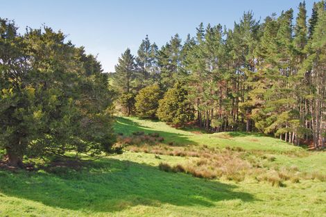 Photo of property in 56 Wattle Lane, Kaiwaka, 0573