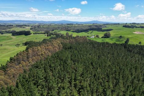Photo of property in 1401 Whangamata Road, Marotiri, Taupo, 3377