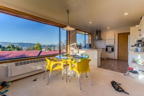 Photo of property in 135 Balmacewen Road, Wakari, Dunedin, 9010