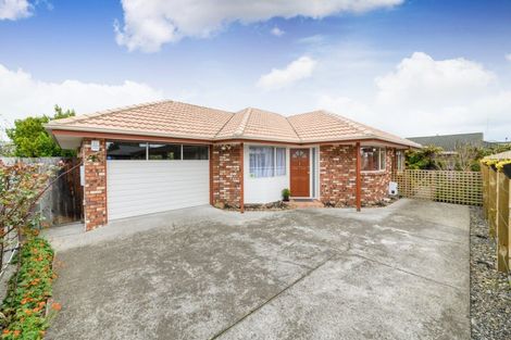 Photo of property in 138b Ferguson Street, West End, Palmerston North, 4412
