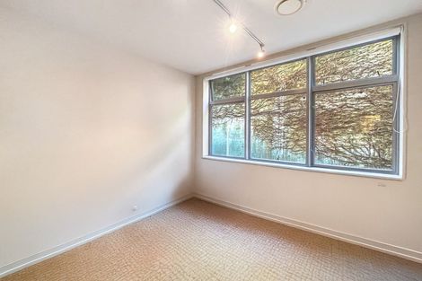 Photo of property in Revolucion Apartments, 207/28s Torrens Terrace, Mount Cook, Wellington, 6011